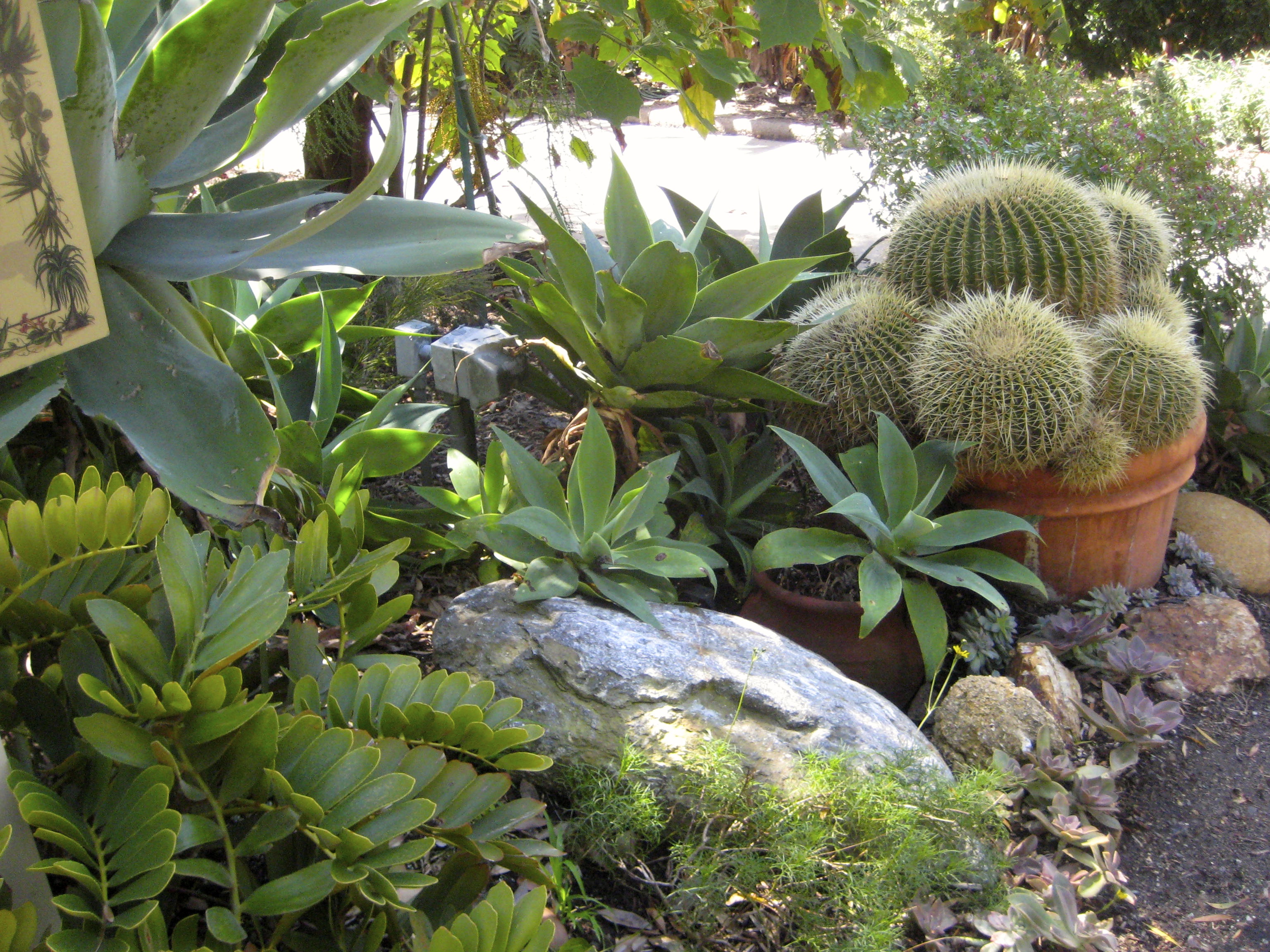 Tuesday, May 14, 9:00 am – Developing Theme Gardens
