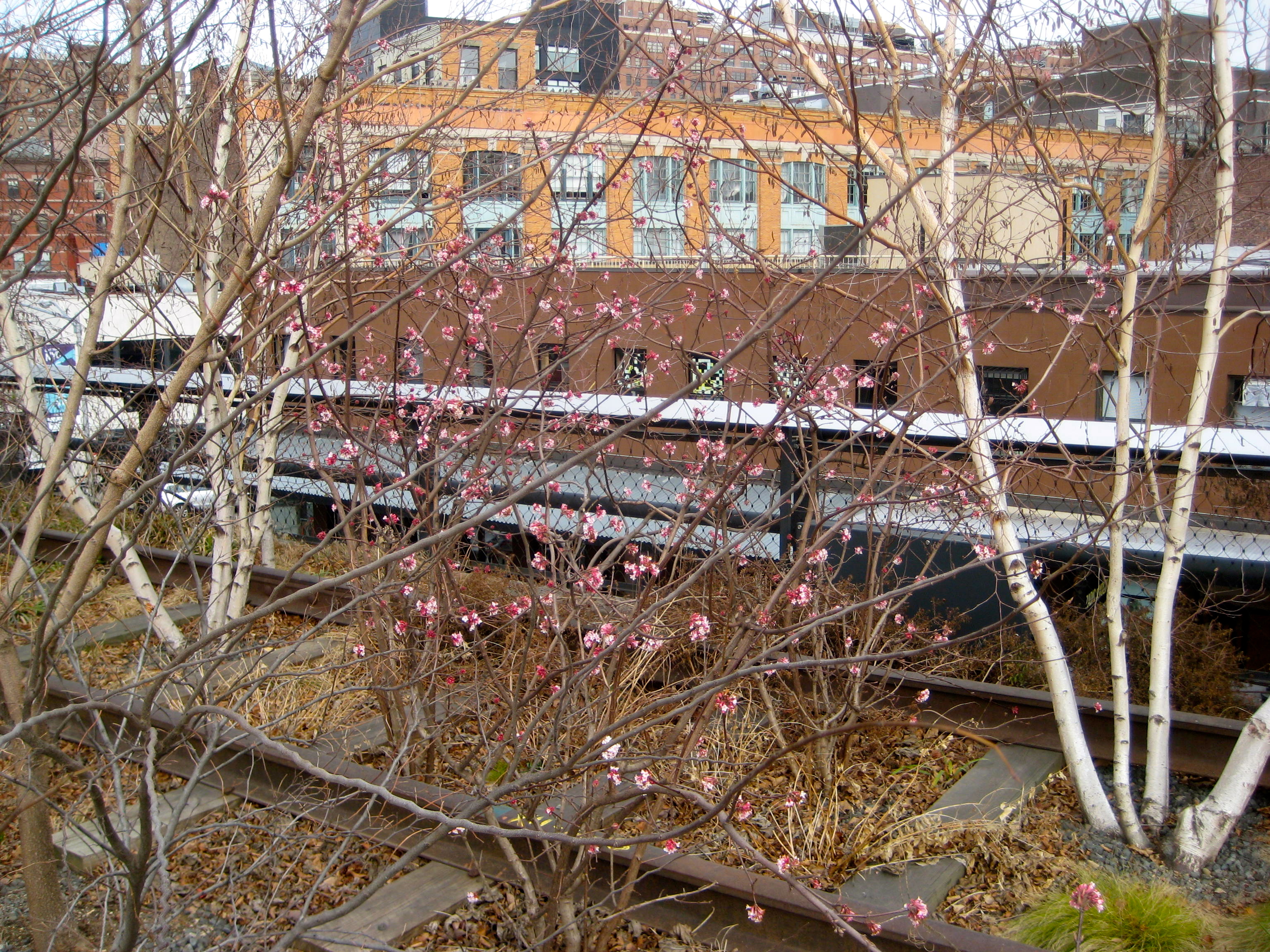 Saturday, October 19, 9:00 am – 11:00 am – The High Line