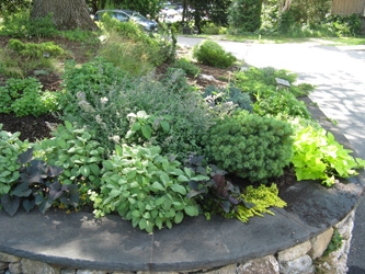 Wednesday, February 12, 1:00 pm – Well-Designed Gardens
