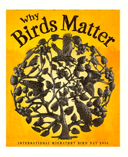 Saturday, May 10, 10:00 am – 3:00 pm – International Migratory Bird Day