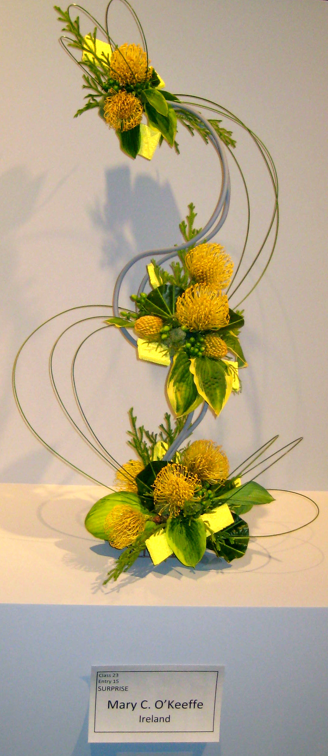 Wednesday, June 18 – Sunday, June 22 – 11th World Flower Show: A Floral Odyssey