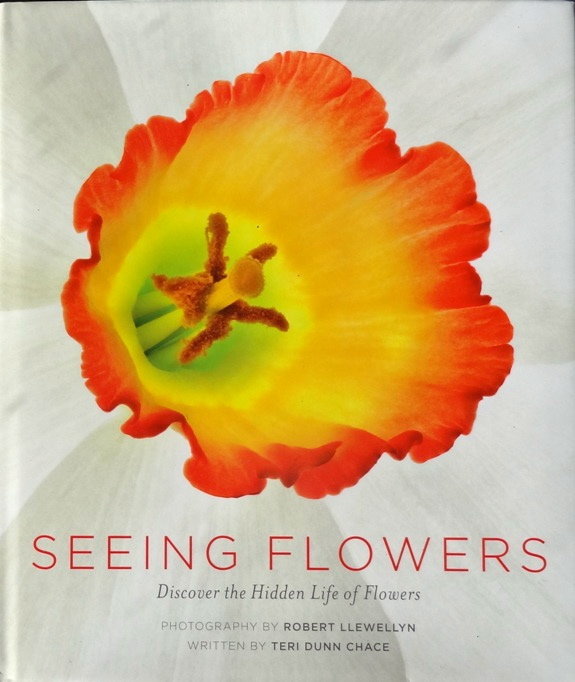 Wednesday, June 18, 4:00 pm – Seeing Flowers