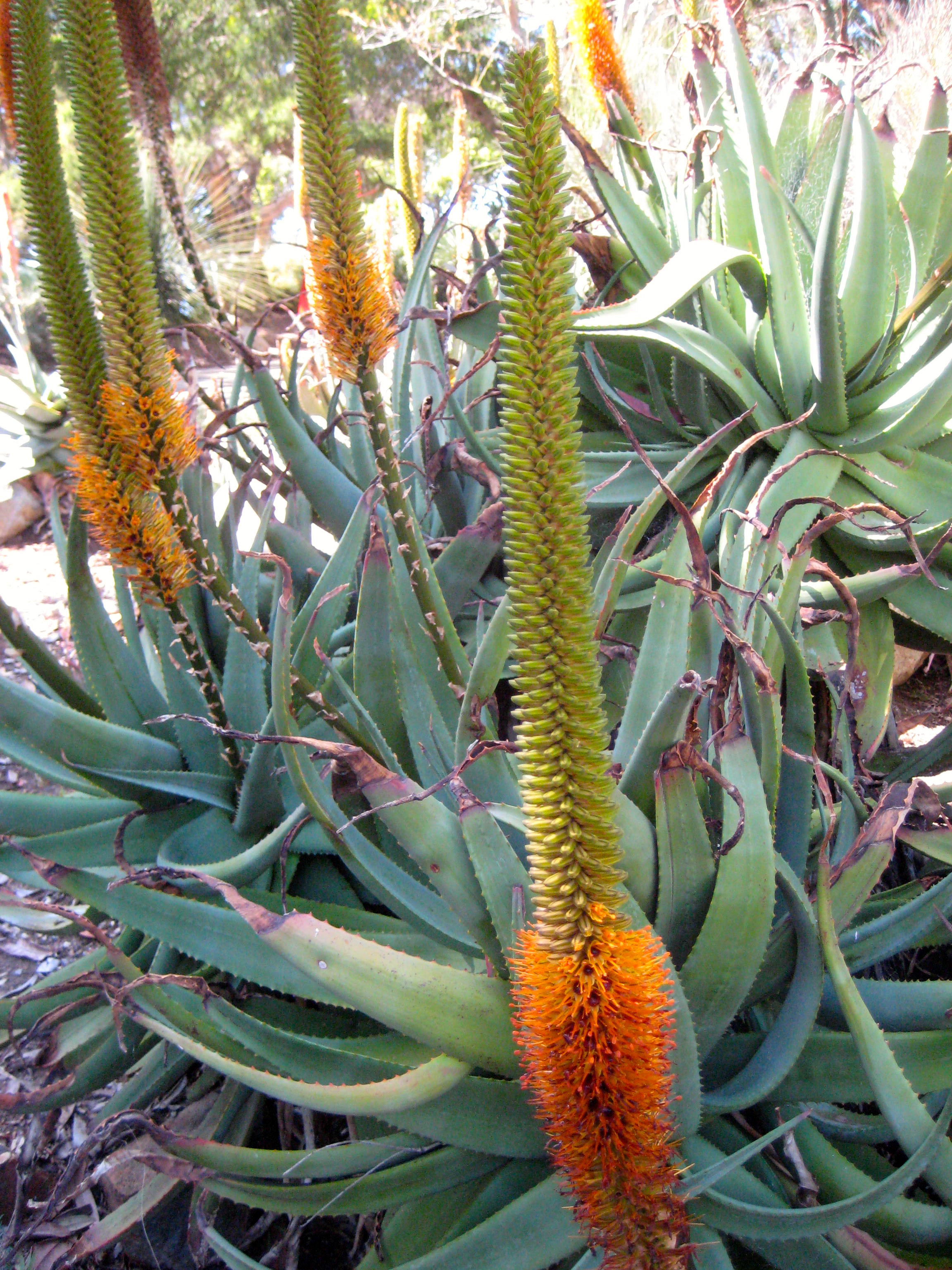 Friday, April 10 – Tuesday, April 14 – Spring Break in San Diego