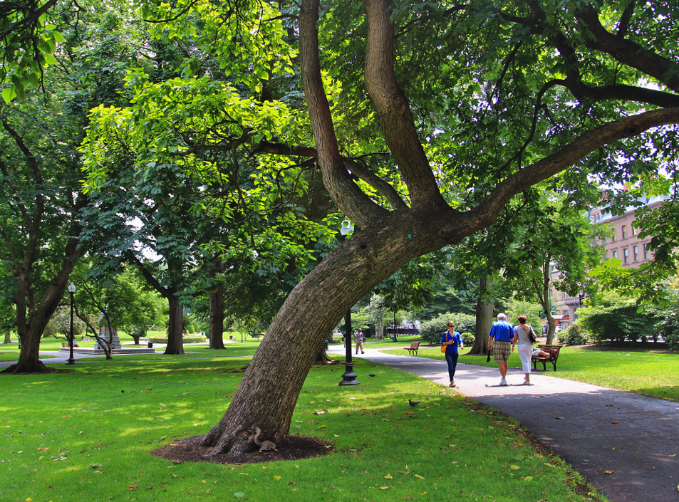 Tuesdays, September 30 and October 14, 1:00 pm – Friends of the Public Garden Public Garden Tour Program