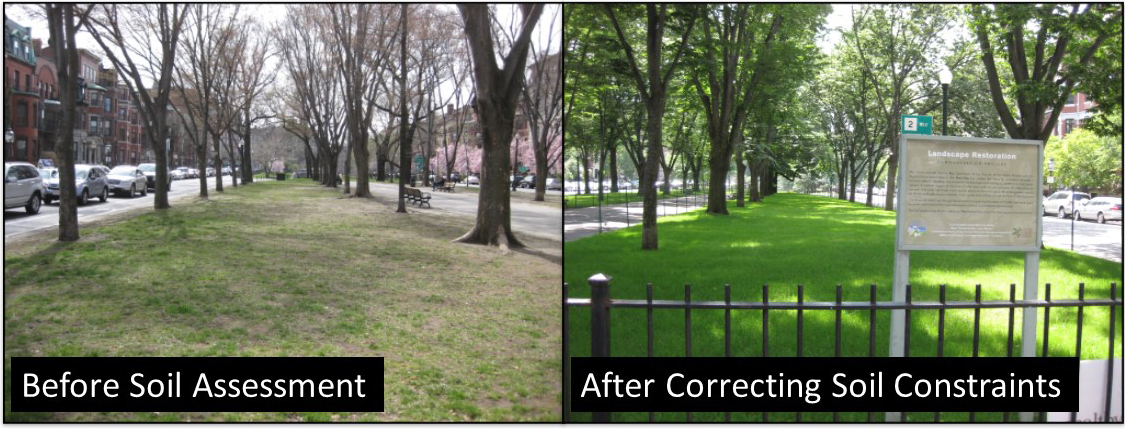 Saturday, October 3, 9:00 am – 3:30 pm – Measuring Soil Health and Managing Site Challenges in an Urban Landscape