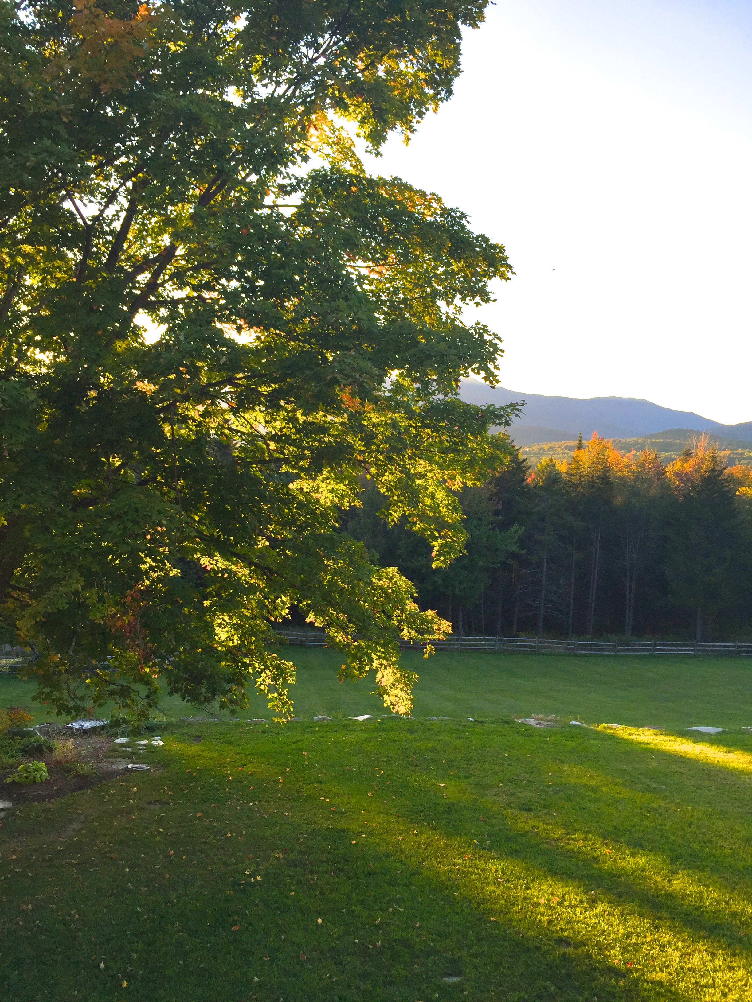 Thursday, November 12, 5:30 pm – 6:30 pm – Arboriculture