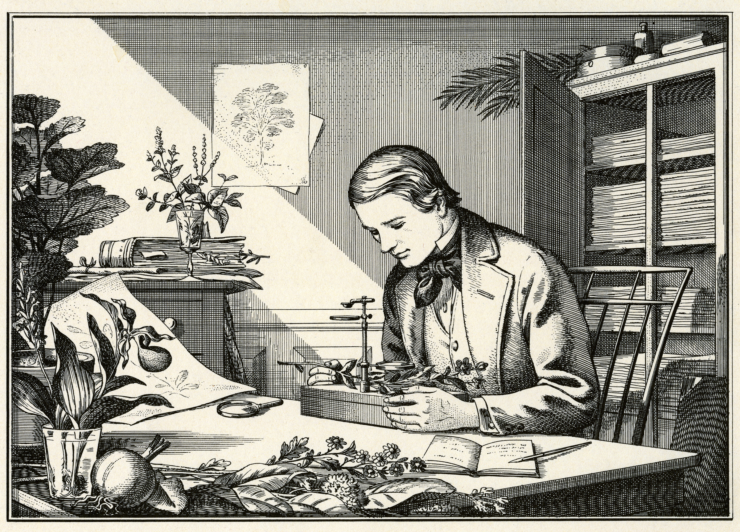 Tuesday, January 12, 1:30 pm – 3:00 pm – A Global Herbaria: Collecting Plants Across the Ages and the Continents