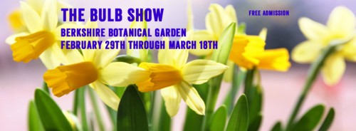 Through March 18 – Bulb Show