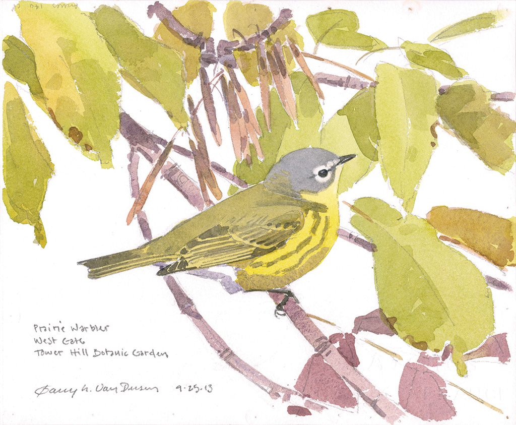 Saturdays, June 4 & June 11, 10:00 am – 2:00 pm – Awash in Birds and Blossoms: Nature Drawing & Painting