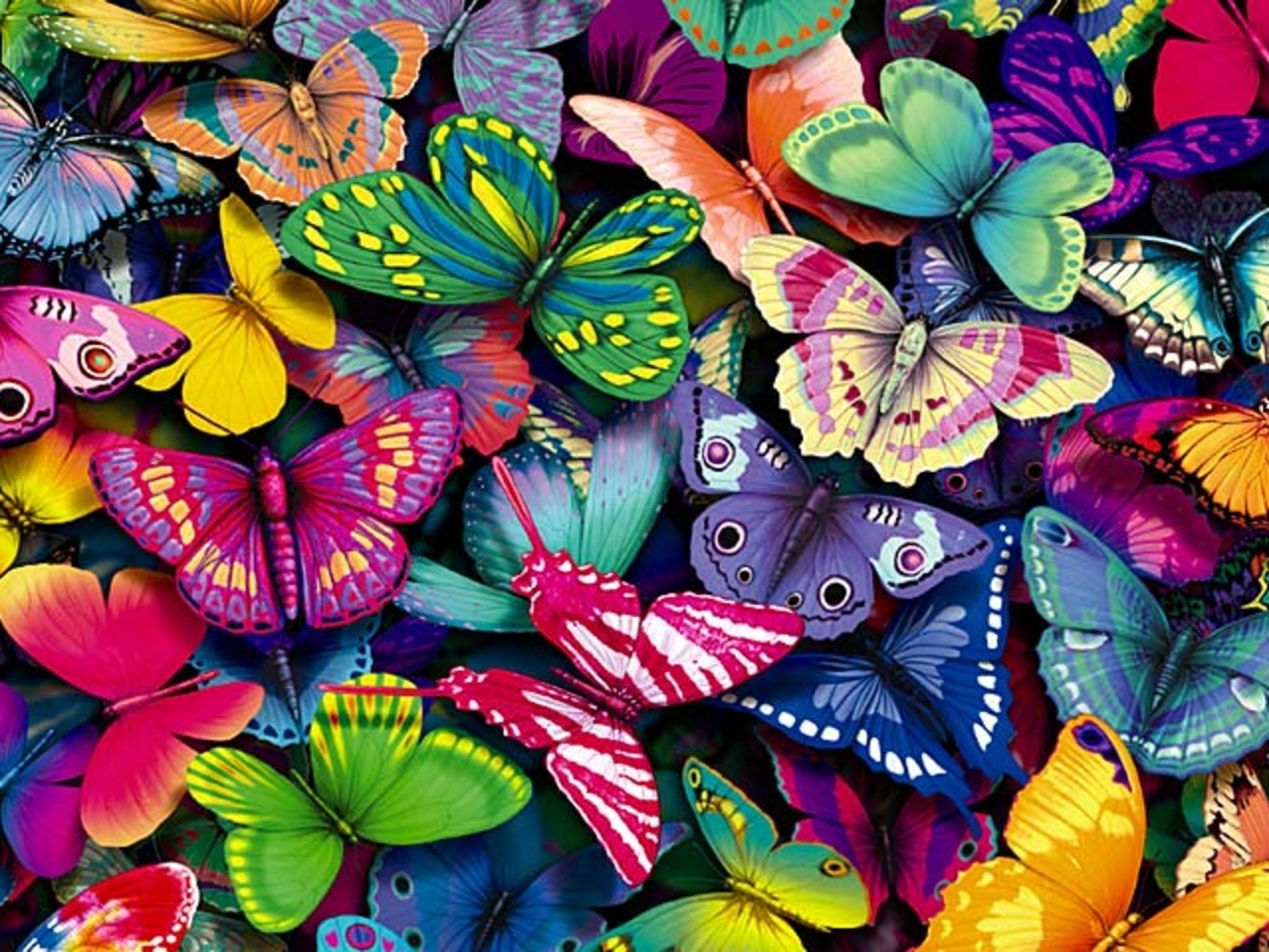 Saturday, July 2, 9:00 am – 12:00 noon – Summer Butterfly Count