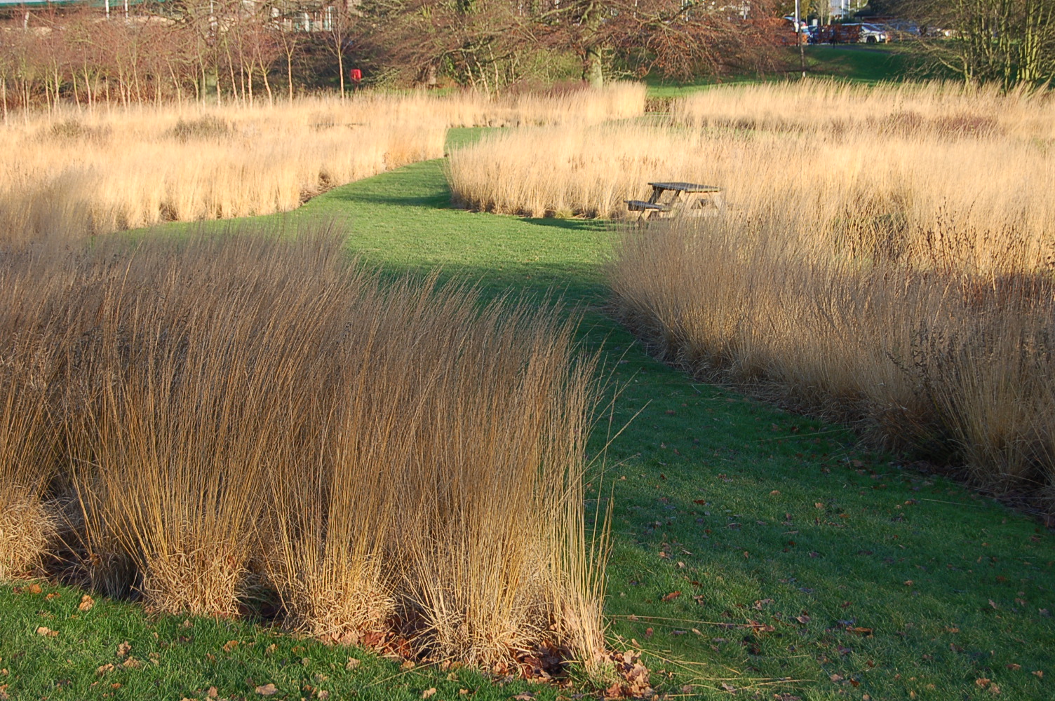 Tuesday, August 8 – Wednesday, August 16 – Piet Oudolf & Dutch Wave Gardens Trip