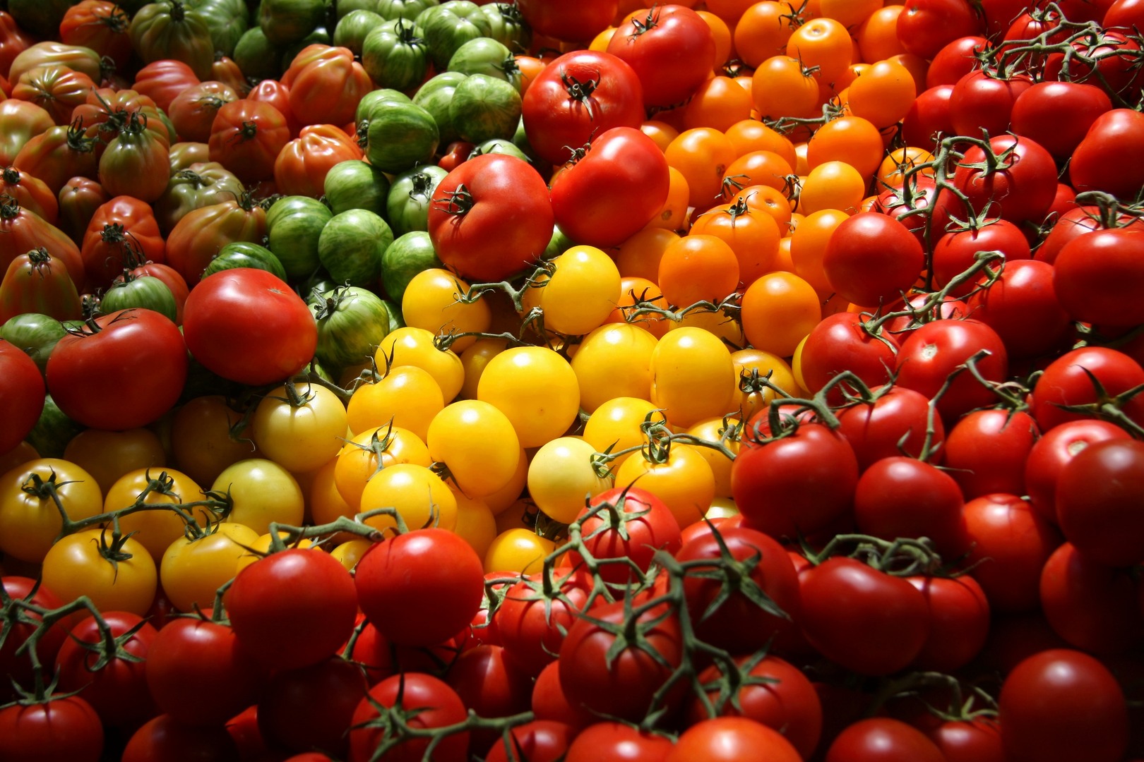 Saturday & Sunday, October 7 & 8, 10:00 am – 5:00 pm – Berkshire Botanical Garden’s Harvest Festival