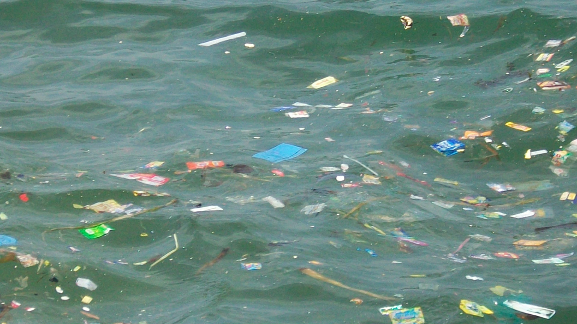 Wednesday, October 4, 6:00 pm – 8:00 pm – Charles River Clean Up Boat Benefit