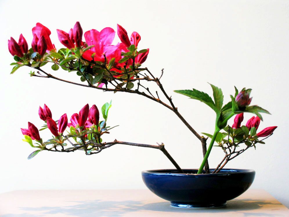Friday, October 20, 12:00 noon – 5:00 pm, Saturday, October 21, 9:00 am – 5:00 pm, and Sunday, October 21, 9:00 am – 4:00 pm – Japanese Flower Exhibition