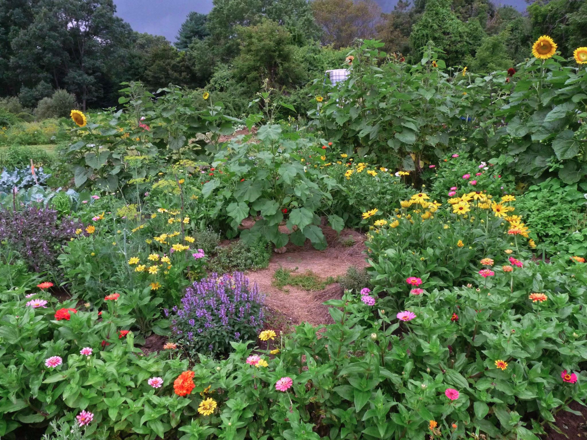 Friday, June 1 & Saturday, June 2, 9:00 am – 4:00 pm – Concord Museum Garden Tour