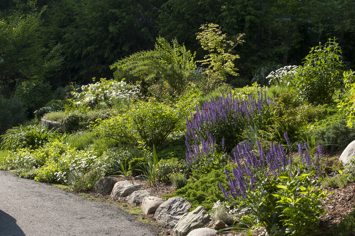 Sunday, June 10, 11:30 am – 12:30 am and 1:00 pm – 4:00 pm – Needham Garden Tour