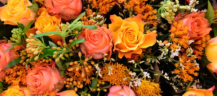 Wednesday & Thursday, July 19 – 21, 10:00 am – 5:00 pm – Southeastern District Standard Flower Show