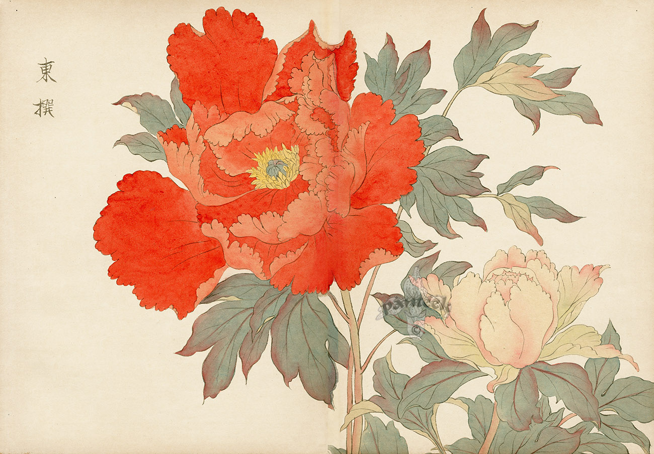 Saturday, August 4, 9:00 am – 12:00 noon – OSIMA Summer Ikebana Workshop