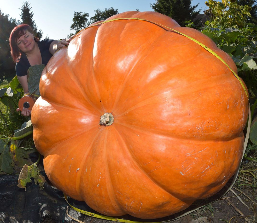 Sunday, October 7, 2:00 pm – 3:00 pm – The Art and Science of Growing Giant Pumpkins