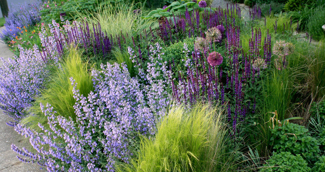 Thursday, September 27, 7:00 pm – 8:30 pm – Design a Sunny Perennial Border