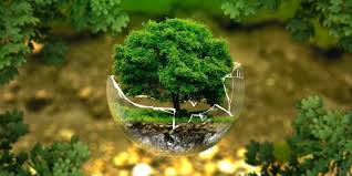 Thursdays, January 10 – 24, 10:00 am – 3:30 pm – Conservation Biology