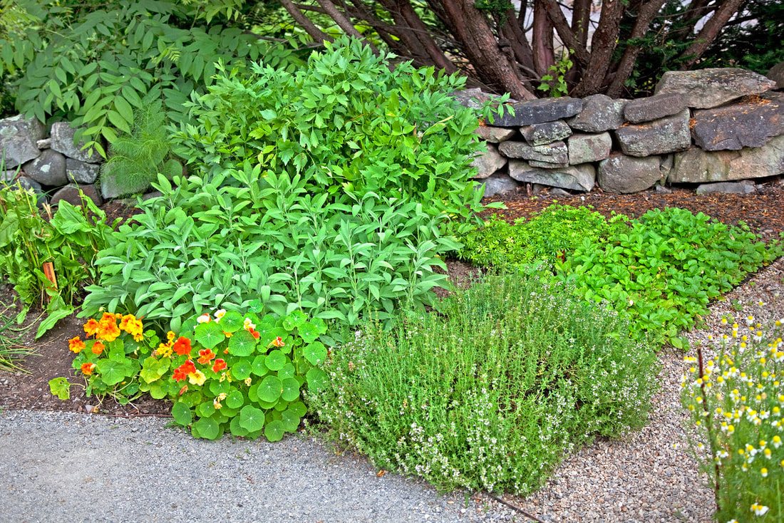 Saturday, June 8, 10:00 am – 4:00 pm – Lexington Gardens Blossom Garden Tour