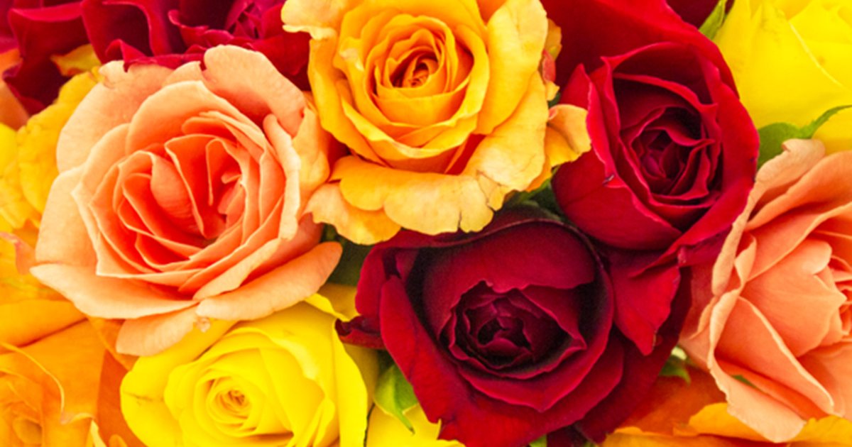 Now Through June 16 – Massachusetts Horticultural Society Online Auction
