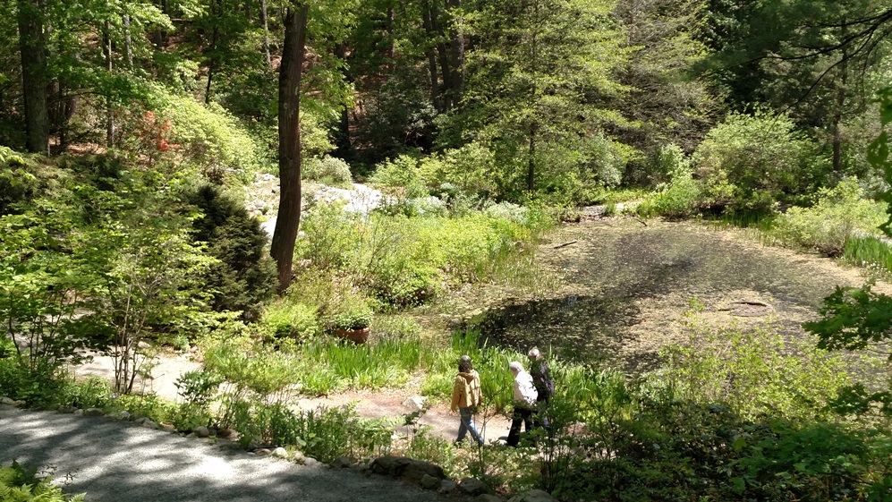 Tuesday, September 10, 10:00 am – Garden Club of the Back Bay September Meeting: Tour of Garden in the Woods