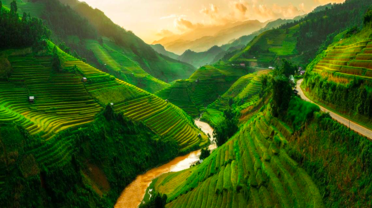 Thursday, January 23, 12:30 pm – 1:30 pm – The Role of Landscape in Our Global Environmental Crisis