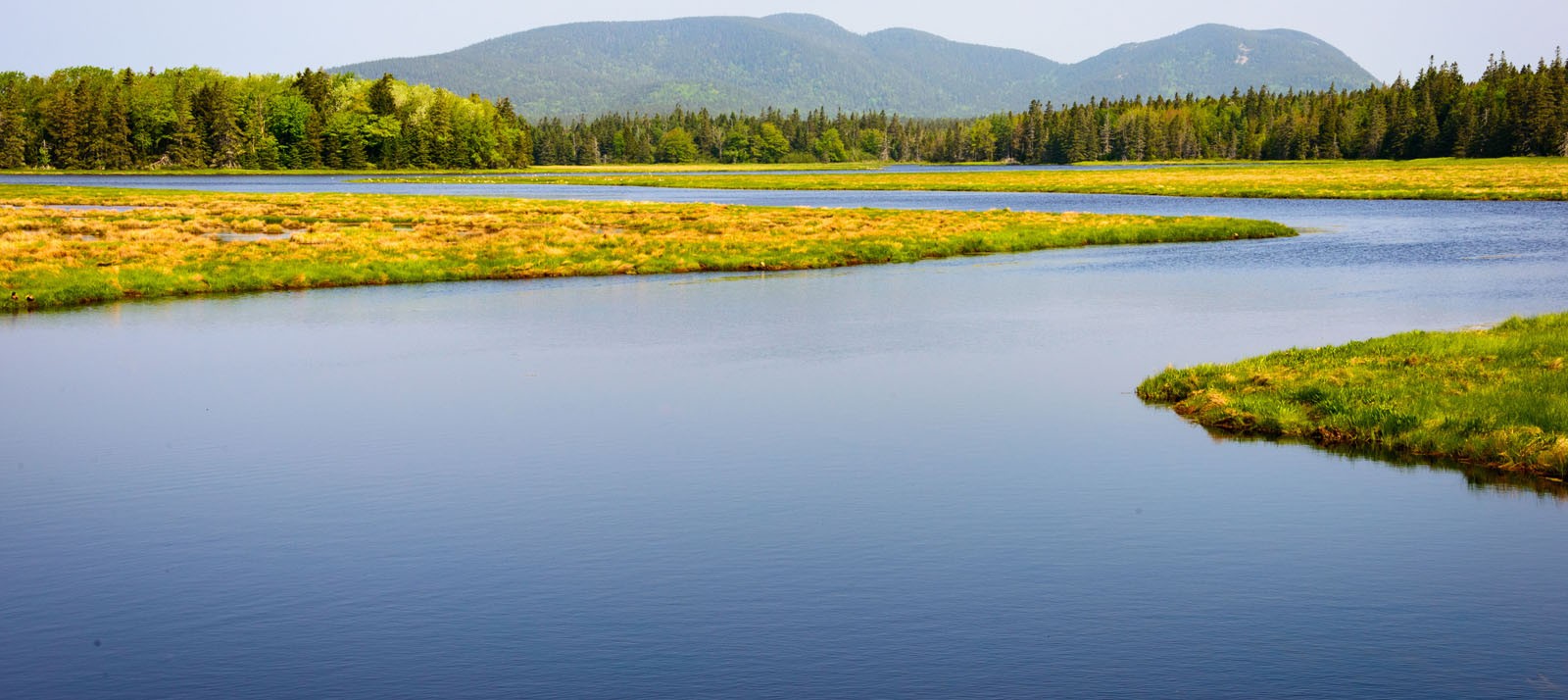 Thursday, October 8, 4:00 pm – 6:00 pm – Clean Water Action Virtual Fall Celebration with Attorney General Maura Healy