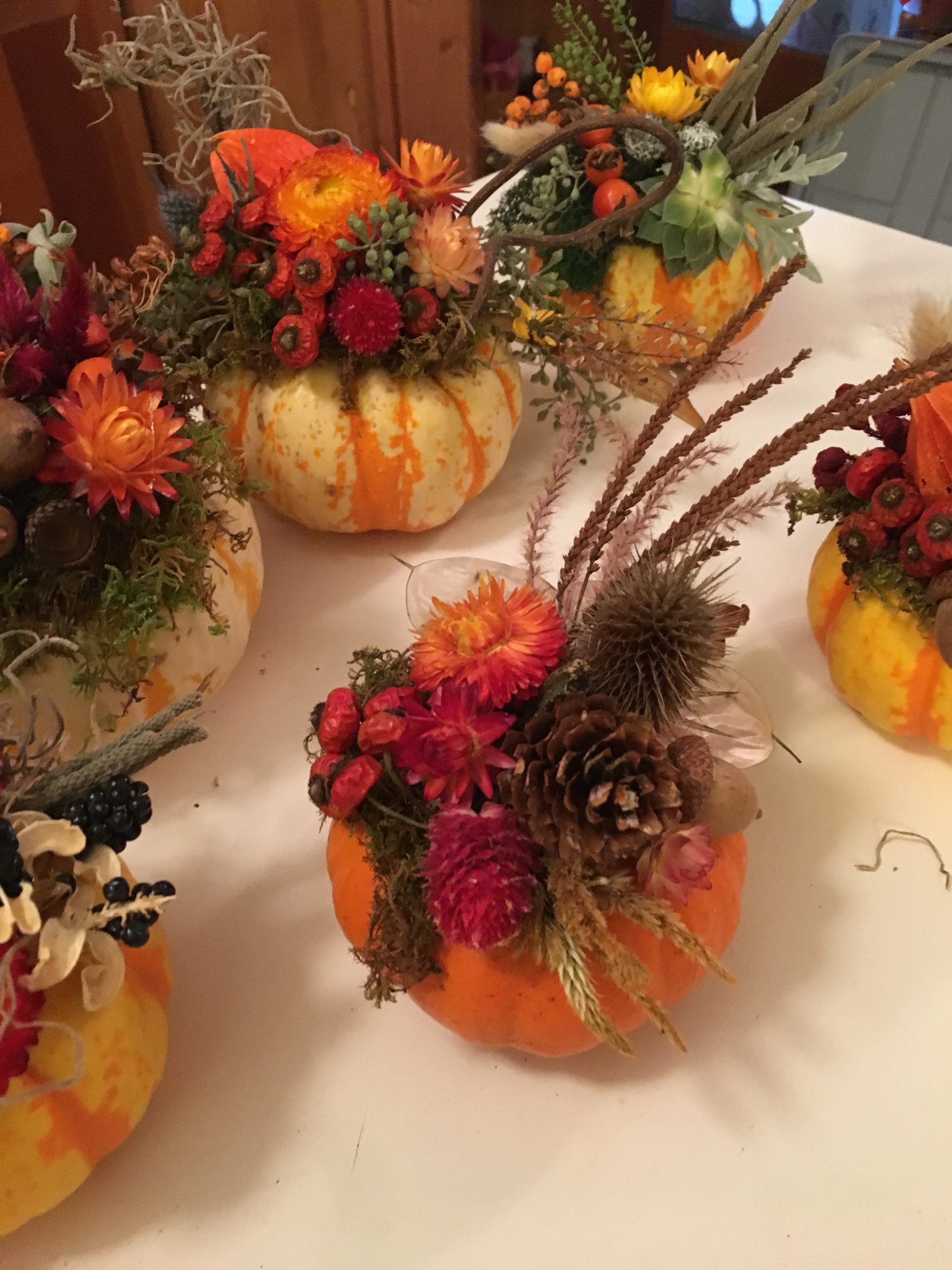 Tuesday, October 27, 7:00 pm – 8:00 pm – Garden Club of the Back Bay Pop-Up Flower Arranging with Nancy Cyr, Online
