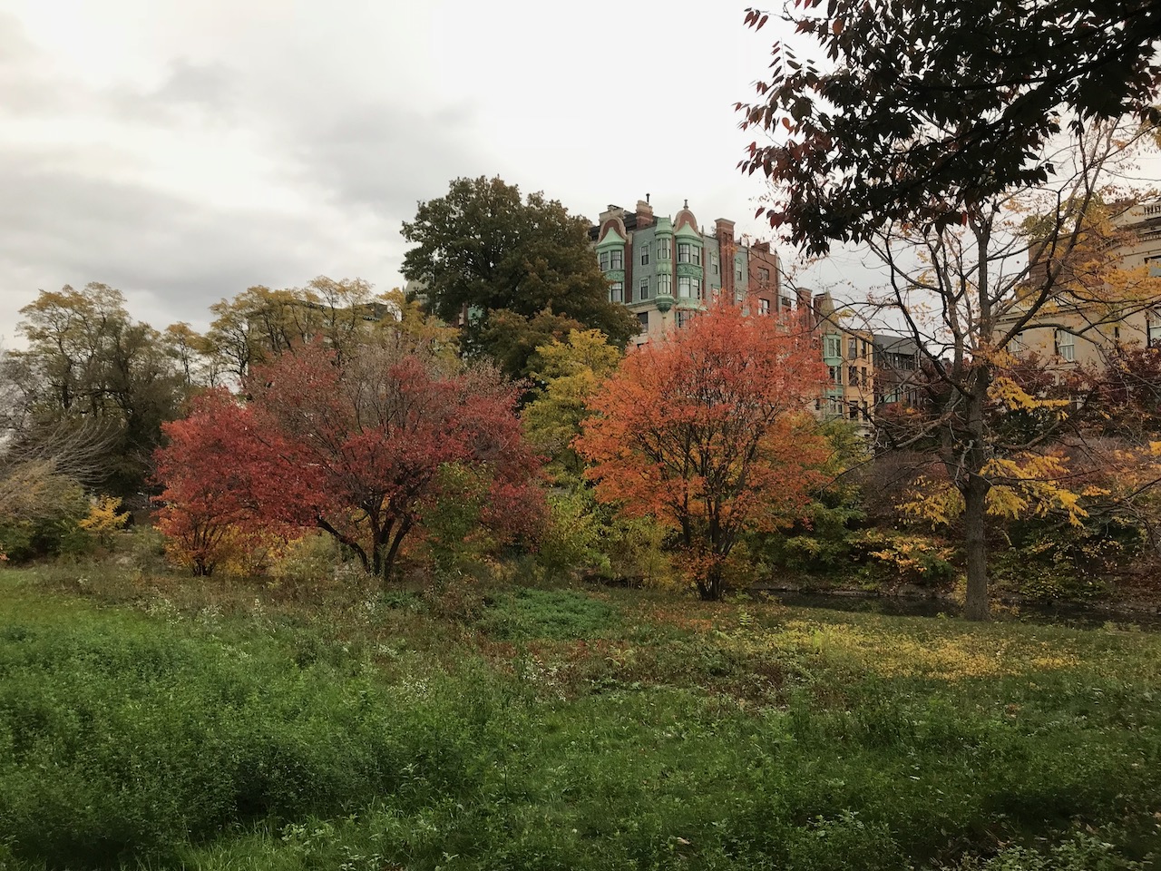 Thursday, November 19, 6:30 pm – Charlesgate Alliance Public Meeting