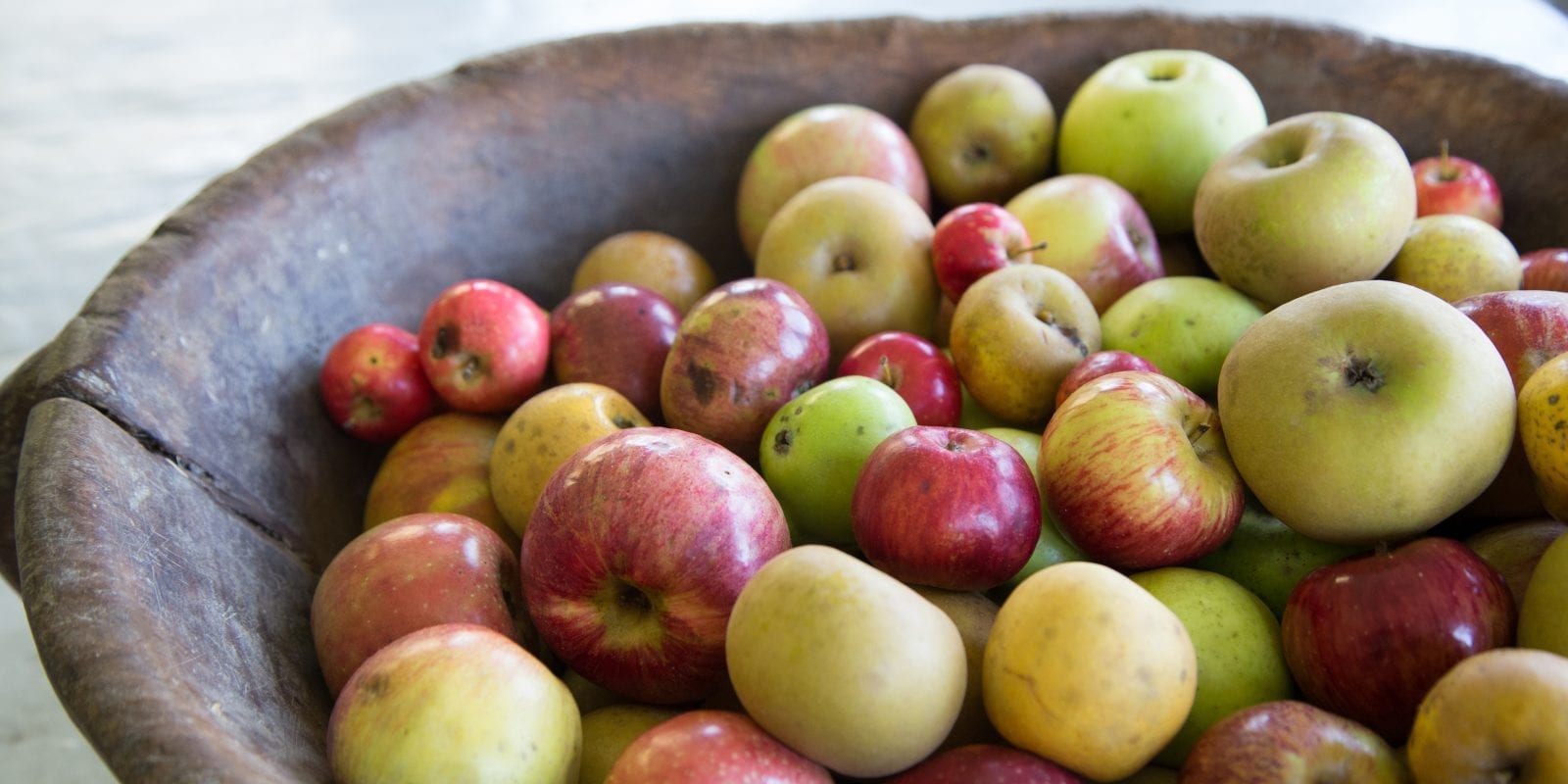 “Buy a Tree, Give a Tree” Heirloom Apple Orchard Fundraiser