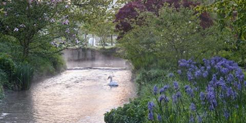 Wednesday, March 31, 2:00 pm – 3:30 pm Eastern Time – Unforgettable Gardens – Heale Garden, Online