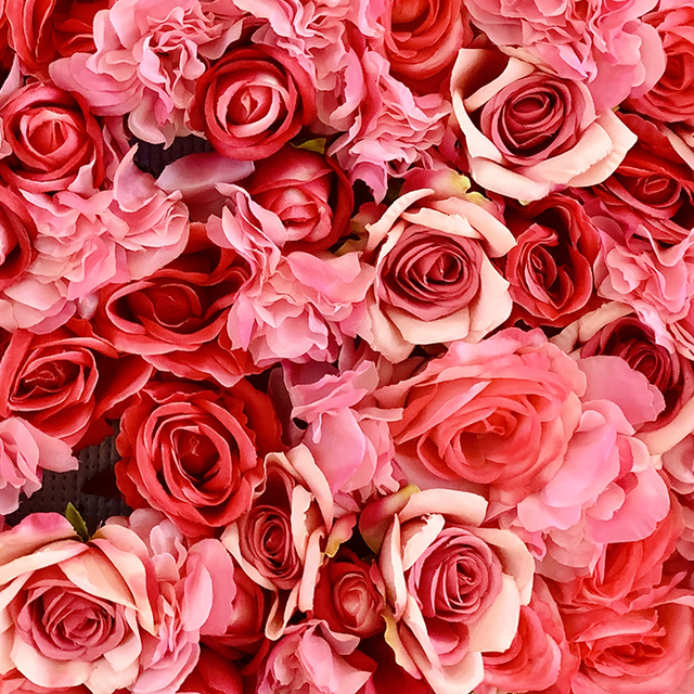 Tuesday, February 22, 2:00 pm – Rose Workshop with Michael Marriott, Online from the UK