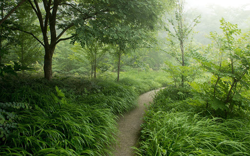 Thursday, April 1, 10:00 am – 11:00 am – The Tokachi Millennium Forest, Online