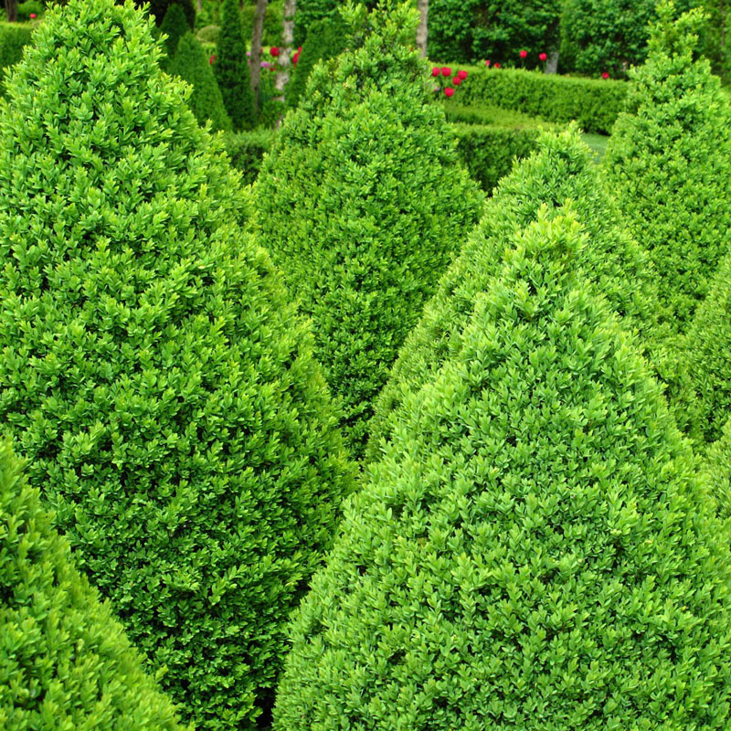 Saturday, October 1 – Sunday, October 9 – The Splendors of Portuguese Gardens