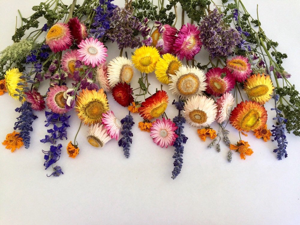 Saturday, October 16, 10:00 am – 12:00 noon, and Thursday, October 21, 7:00 pm – 9:00 pm – Learn to Create Dried Flower Arrangements