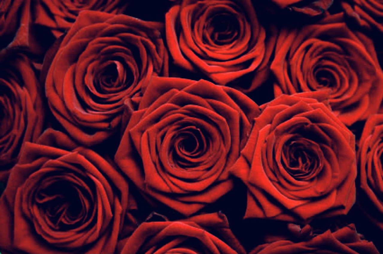 Friday, February 11, 2:00 pm – Valentine Flowers Design Class with Nancy Cyr, Online