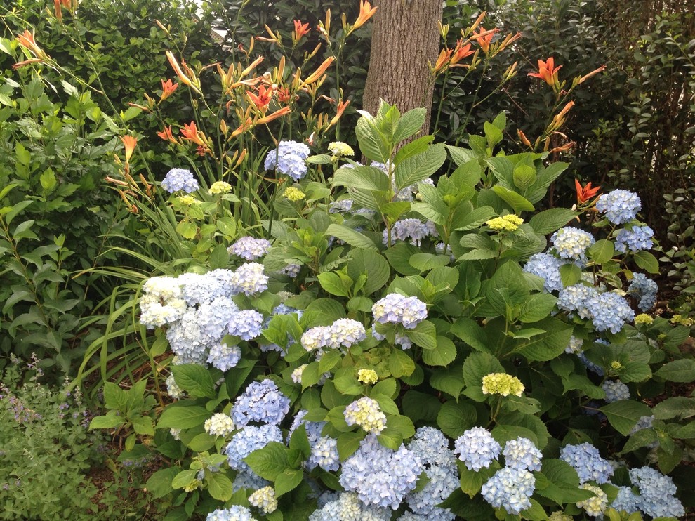 Friday, July 8 and Saturday, July 9, 10:00 am – 4:00 pm – Falmouth Garden Club Garden Tour